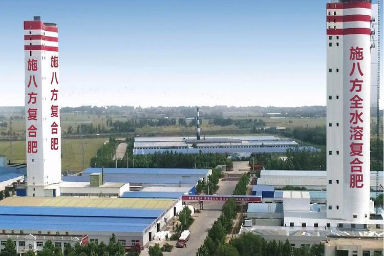 杨统超 以化肥销售与谷物种植为基，深耕农业技术服务之路